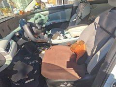 IM Motors Zhiji LS6 Max Standard Edition - ფოტო 16