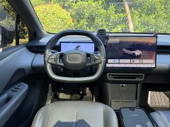 Lynk & Co 20 530km Rear-wheel Drive Max - ფოტო 9