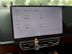 Li Auto L8 Pro - ფოტო 6