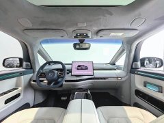 Zeekr MIX Smart Driving Edition - photo 15