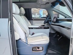 Zeekr MIX Smart Driving Edition - photo 16