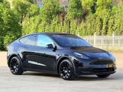 Tesla Model Y Standard Range RWD - фото 2