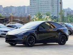 Tesla Model Y Standard Range RWD - фото 3