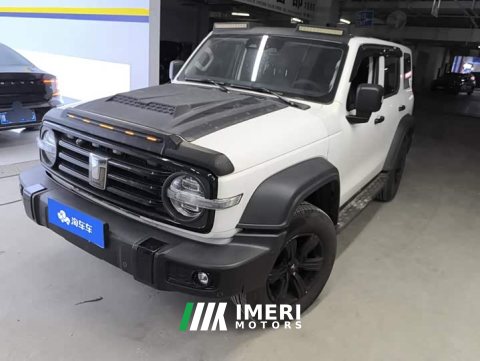 2022 Tank 300 Off-Road Edition 2.0T Challenger - ავტომობილი ჩინეთიდან