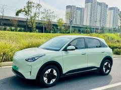 Geely Xing Yuan 310km Dream Edition - ფოტო 1