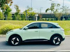Geely Xing Yuan 310km Dream Edition - ფოტო 3