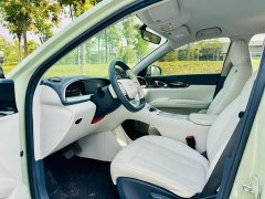 Geely Xing Yuan 310km Dream Edition - ფოტო 4