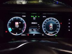 Tank 300 Off-Road Edition 2.0T Conqueror - ფოტო 14