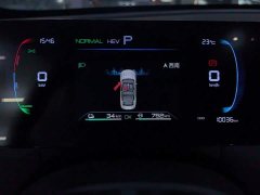 BYD Qin PLUS DM-i Smart Drive Edition 55KM Leading - photo 14