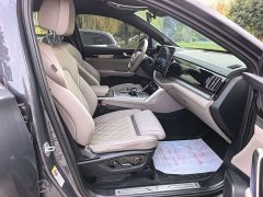 BYD Yuan Plus EV Glory Edition 600KM Premium - ფოტო 7
