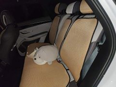 BYD Song Plus New Energy EV 520km Luxury - ფოტო 18