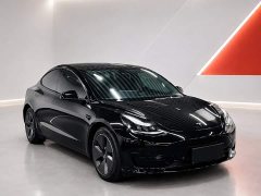 Tesla Model 3 Rear-Wheel Drive - ფოტო 3