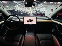 Tesla Model 3 Rear-Wheel Drive - ფოტო 8