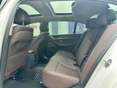 BMW 5 Series 530Li Premier Luxury Package - ფოტო 4
