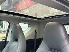 Chery Ant Sweet Pink Micro Sugar Phosphate Iron Lithium 30kW 301km - фото 6