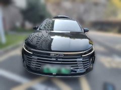 BYD Destroyer 05 Champion Edition DM-i 55KM Luxury - photo 2
