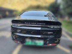 BYD Destroyer 05 Champion Edition DM-i 55KM Luxury - photo 3