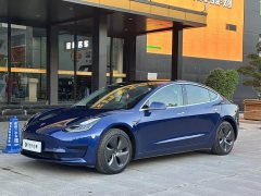 Tesla Model 3 Standard Range RWD Upgrade - ფოტო 1