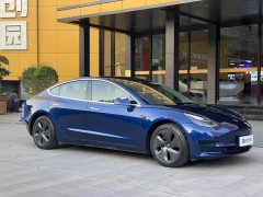Tesla Model 3 Standard Range RWD Upgrade - ფოტო 3