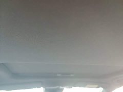 Trumpchi Leopard 400T Automatic R PRO - ფოტო 14