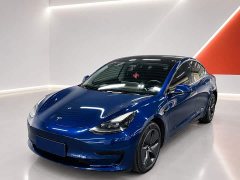 Tesla Model 3 Rear-Wheel Drive - ფოტო 1