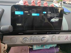 Changan Lumin 205km Xiangqin Edition - ფოტო 20