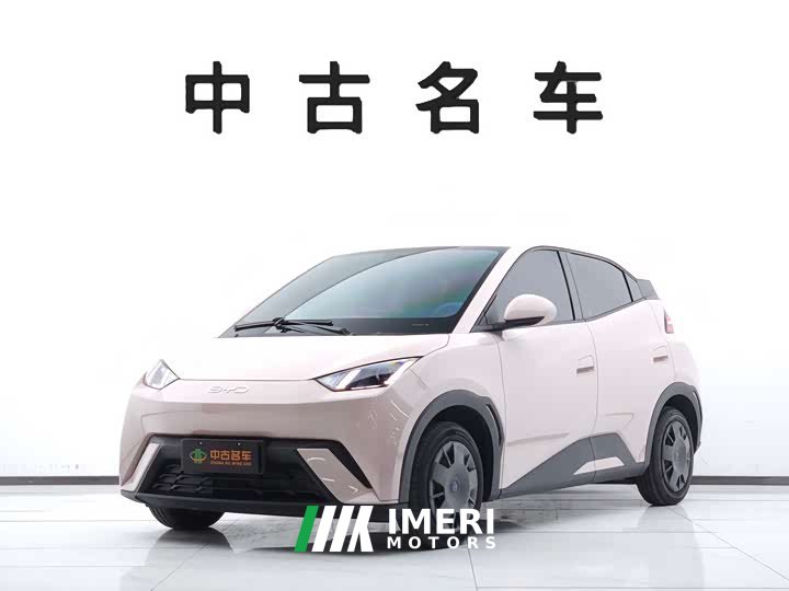 BYD Seagull 305km Vitality Edition - ავტომობილი ჩინეთიდან