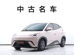 BYD Seagull 305km Vitality Edition - ფოტო 1