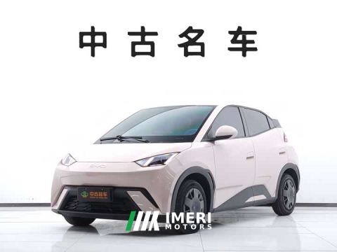 2024 BYD Seagull 305km Vitality Edition
