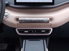 BYD Seagull 305km Vitality Edition - ფოტო 12