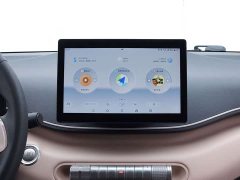 BYD Seagull 305km Vitality Edition - ფოტო 13