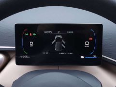 BYD Seagull 305km Vitality Edition - ფოტო 14