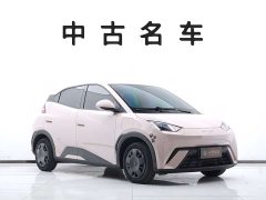 BYD Seagull 305km Vitality Edition - ფოტო 3