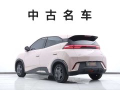 BYD Seagull 305km Vitality Edition - ფოტო 6
