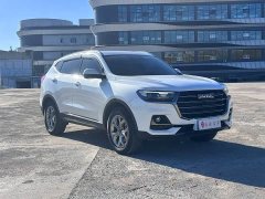 Haval H6 Third Generation 1.5T Automatic Two-Wheel Drive Max - ფოტო 5