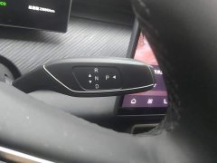 Chery Fengyun T9 120 Long Range Luxury 5-Seater Ternary Lithium - photo 16