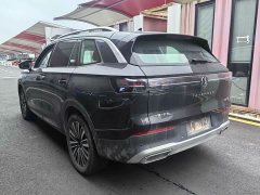 Volkswagen Lanhun 330TSI Luxury Edition - ფოტო 9