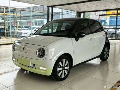 ORA Black Cat 351km Luxury - ფოტო 2