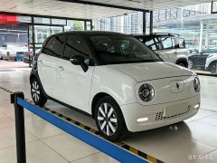 ORA Black Cat 351km Luxury - ფოტო 3