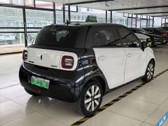 ORA Black Cat 351km Luxury - ფოტო 5