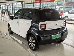 ORA Black Cat 351km Luxury - ფოტო 8