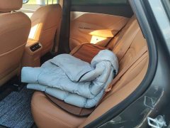 Dongfeng Fengshen L8 185KM Ideal Edition - photo 11