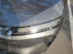 Dongfeng Fengshen L8 185KM Ideal Edition - photo 5