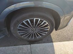Dongfeng Fengshen L8 185KM Ideal Edition - photo 6
