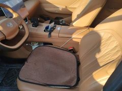 Dongfeng Fengshen L8 185KM Ideal Edition - photo 9