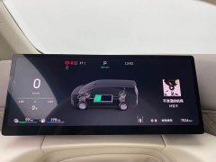 Great Wall WEY Shanshan New Energy Four-Wheel Drive Shanshan 7 - ფოტო 18