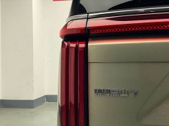 Great Wall WEY Shanshan New Energy Four-Wheel Drive Shanshan 7 - ფოტო 6