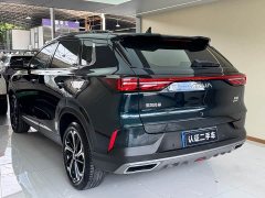 Dongfeng Haoji Mach Twin-Engine 1.5T MHD Dream Edition - photo 16