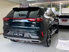 Dongfeng Haoji Mach Twin-Engine 1.5T MHD Dream Edition - photo 20