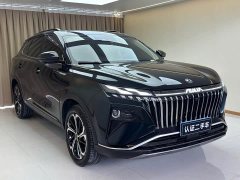 Dongfeng Haoji Mach Twin-Engine 1.5T MHD Dream Edition - photo 3